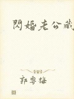 闪婚老公藏不住