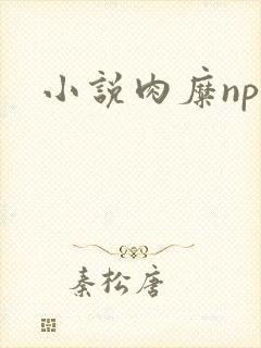 小说肉糜np