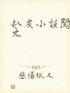 扒灰小说阅读全文封面