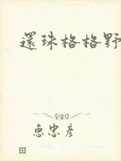 还珠格格野传