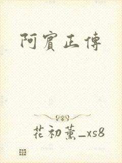 阿宾正传封面