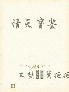 情天宝鉴封面