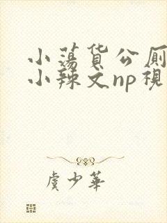 小荡货公厕h文小辣文np视频