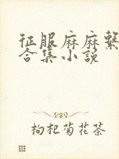 征服麻麻系列大合集小说
