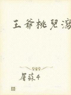 王爷桃儿泻了封面