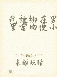 我被绑在男公厕里当肉便小说封面