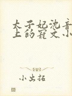 太子妃沈音和皇上的宠文小说封面