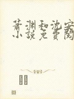 萧渊和沈安安的小说免费阅读