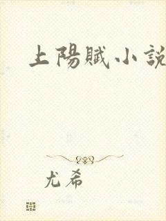 上阳赋小说封面