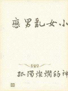 恋男乱女小说