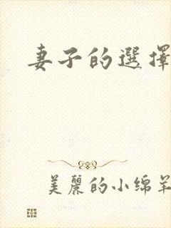 妻子的选择小说封面