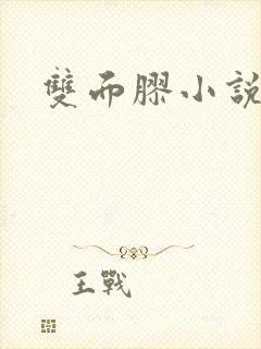 双面胶小说