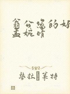 翁公您的好长呀孟婉晴封面