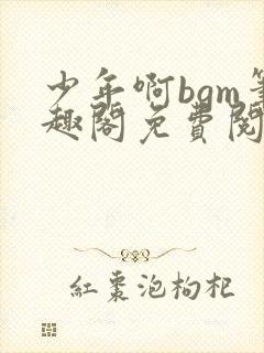 少年啊bgm笔趣阁免费阅读全文下载