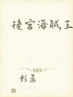 后宫海贼王