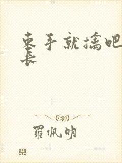 束手就擒吧韩队长