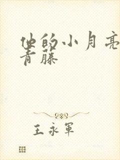 他的小月亮by青藤