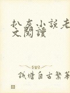 扒灰小说老马全文阅读