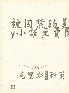 被囚禁的美人by小说免费阅读封面