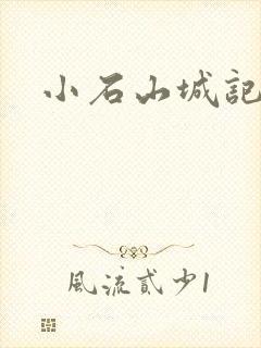 小石山城记