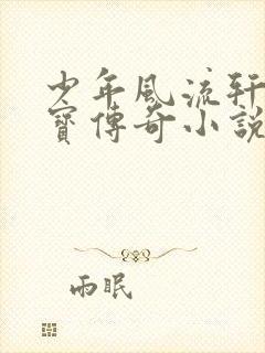 少年风流轩辕大宝传奇小说封面