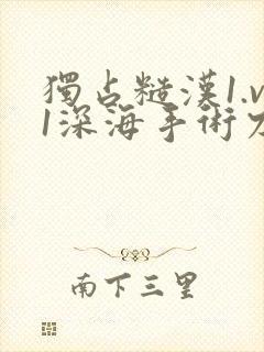 独占糙汉1.v1深海手术刀