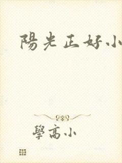 阳光正好小说
