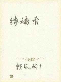 缚娇索封面