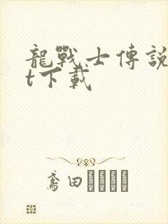 龙战士传说txt下载