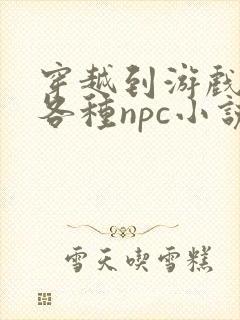 穿越到游戏里和各种npc小说封面