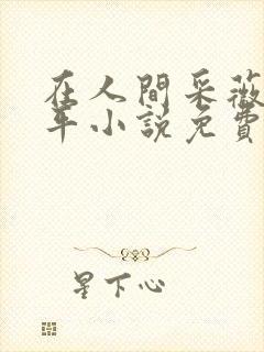 在人间采薇陆三平小说免费阅读封面
