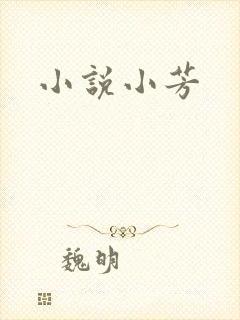 小说小芳