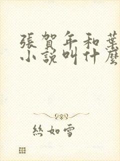 张贺年和叶繁姿小说叫什么名字