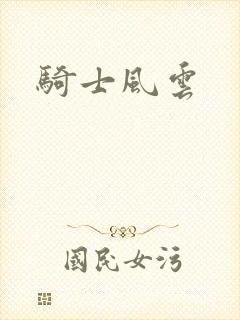 骑士风云封面