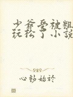 少爷受被粗汉H玩松了小说