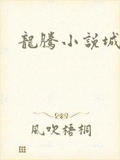 龙腾小说城封面