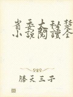 省委大秘楚东恒小说阅读全文封面