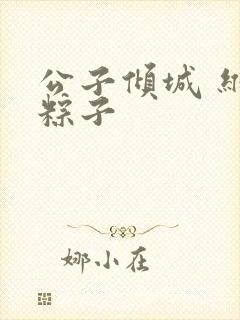 公子倾城 维和粽子封面