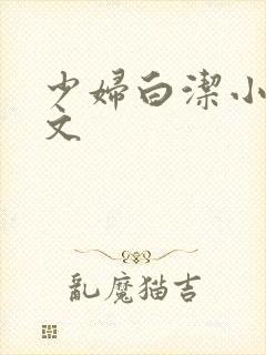 少妇白洁小说全文封面