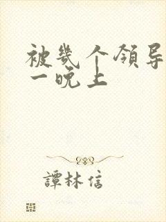 被几个领导玩弄一晚上