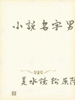 小说名字男生