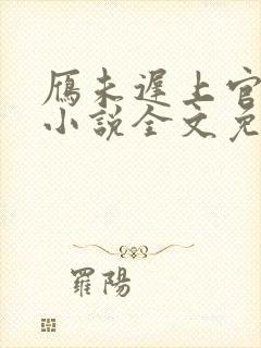 雁未迟上官穿越小说全文免费阅读