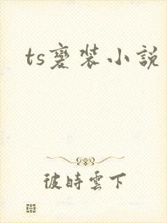 ts变装小说