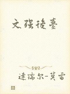 文强后台