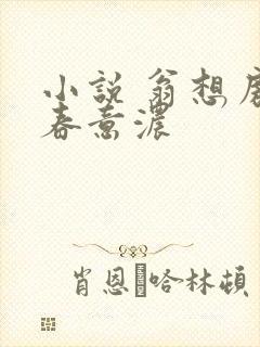 小说 翁想房中春意浓封面