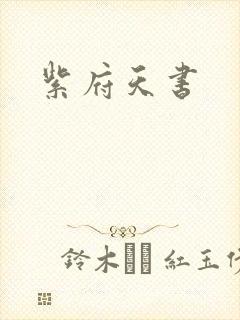 紫府天书