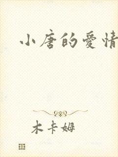 小唐的爱情史封面