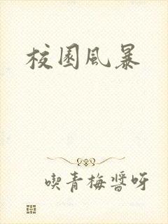 校园风暴