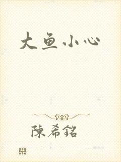 大鱼小心