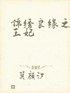 锦绣良缘之北地王妃